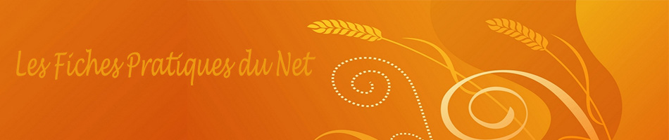fiches pratiques du net, conseils et achats