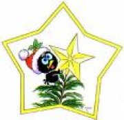* Coucou d'avant Noël *